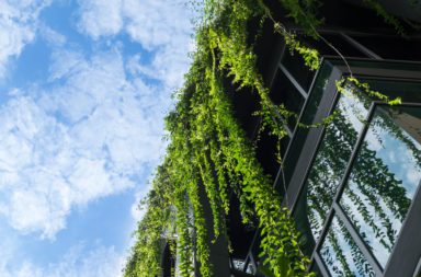 Grüne Gebäude als Beispiel für nachhaltiges Bauen